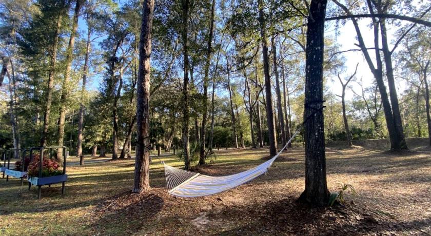 デュネディン Amazing Cottage Surrounded by Trees in Dunnellon, Florida 3つ星 宿泊施設 客室
