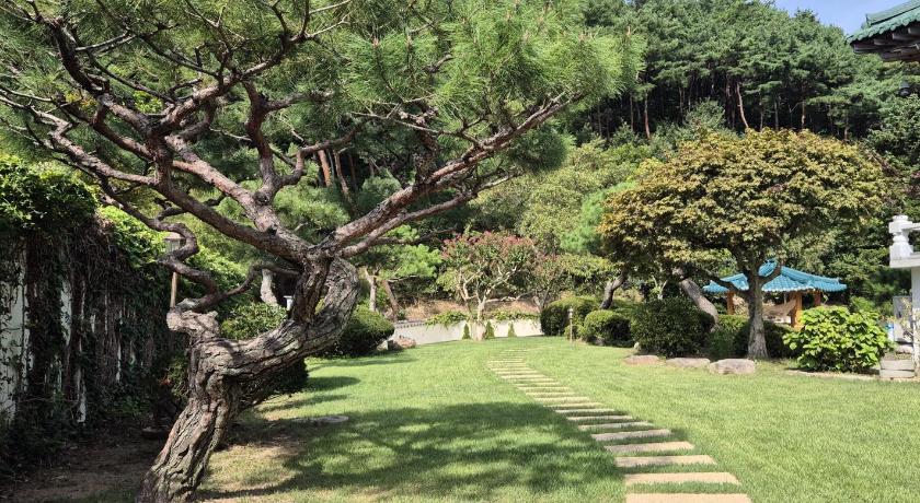 경주 초음정 4성급 숙소 레스토랑