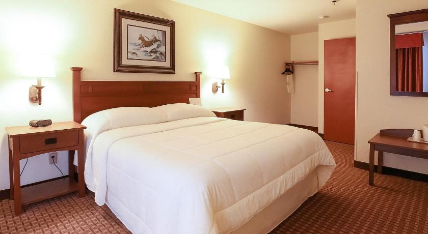 Naples (NC) Mountain Inn & Suites Airport - Hendersonville 2-Star Accommodation pool