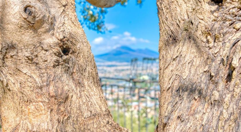 Lecce Villa Eteria Casa indipendente panoramica vicino Pompei 4-Star Single Room room