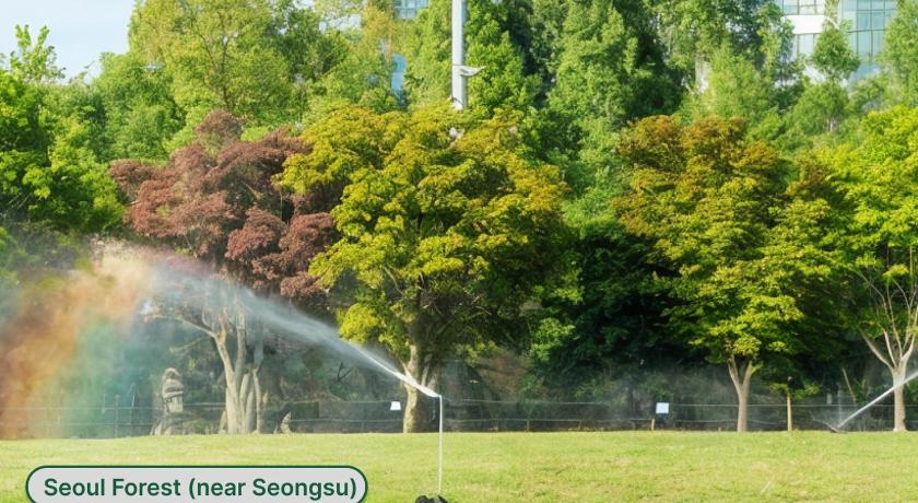 서울 Open Deal! Line 2 and 7 Station Area, Seongsu, Seoul Forest, Han River, Airport Bus 2min 3성급 숙소 스위트룸