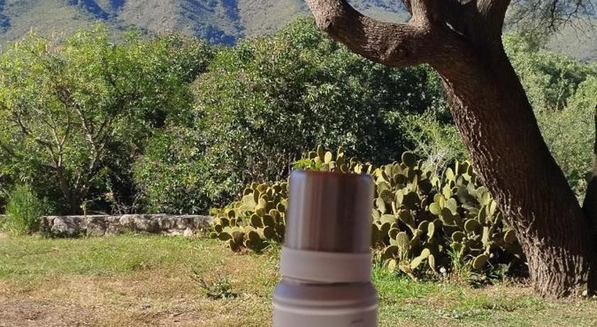 DonPedro