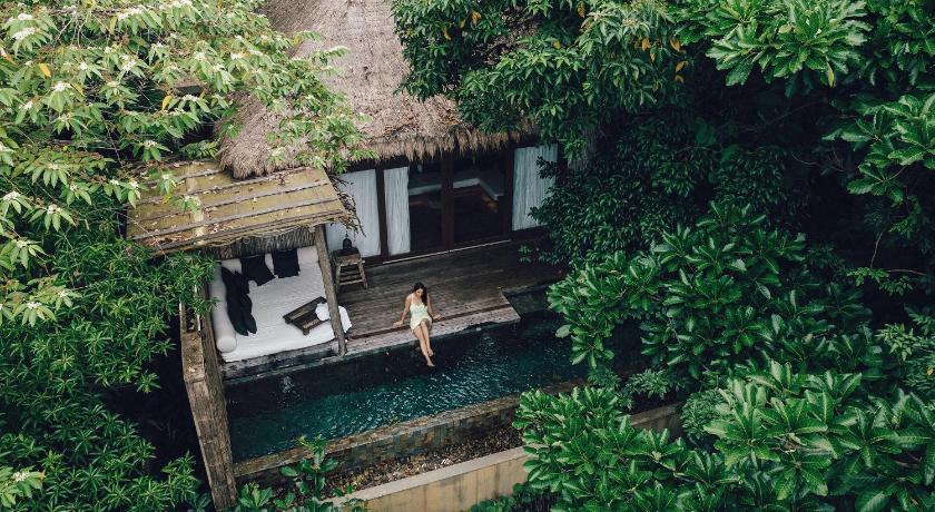 Image of Jungle Villa One Bedroom 6