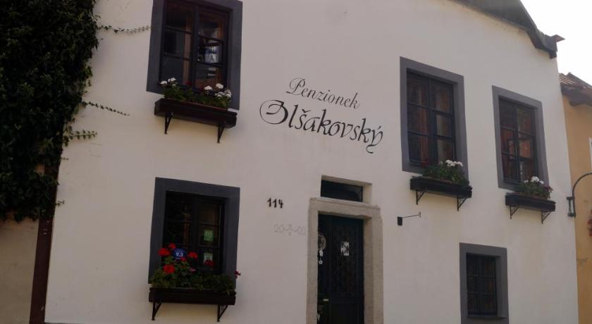 Guest House Olsakovsky photo
