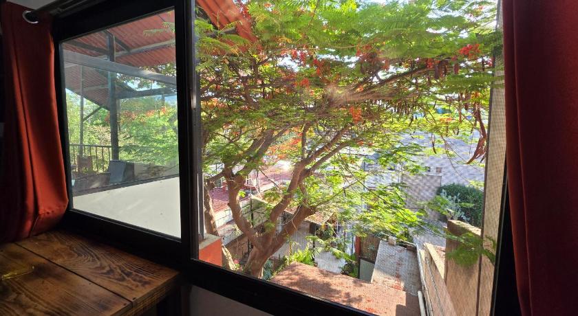 瓦哈卡 La Casa del Arbol 酒店 设施