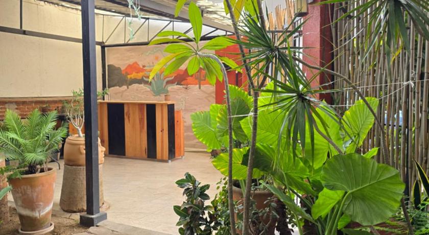 瓦哈卡 La Casa del Arbol 酒店 设施