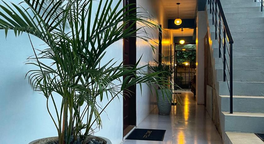 Island Stays - image 16