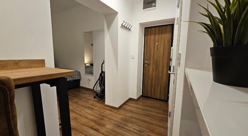 베오그라드 Studio 1920 3성급 싱글룸 로비