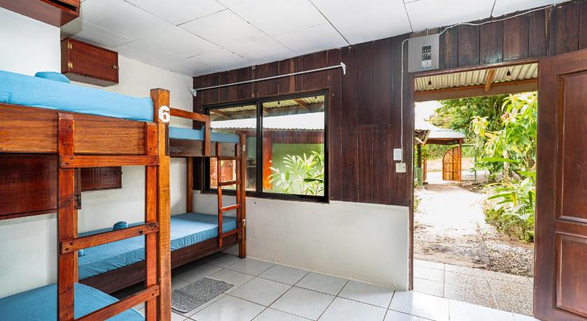 Image of Bed in Female Dormitory Room 0