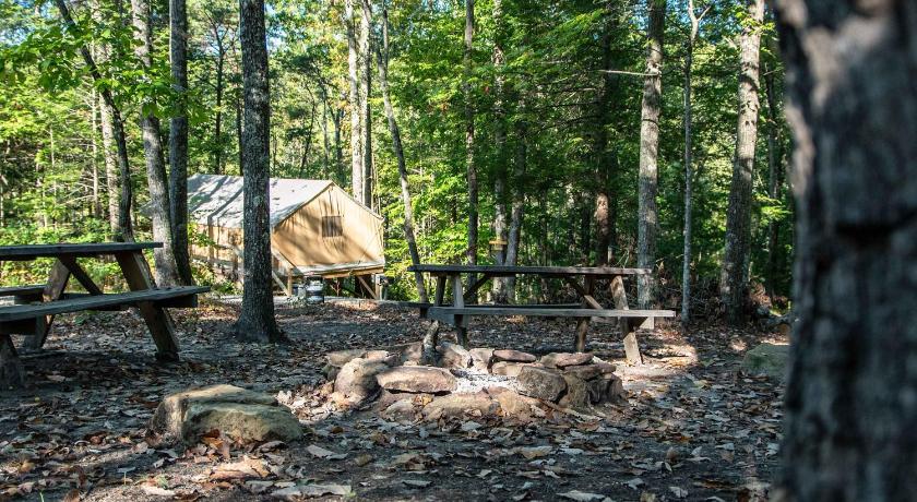 로저스 (KY) Robin's Nest-Lux Camping Tent in the Gorge 2성급 숙소 스위트룸