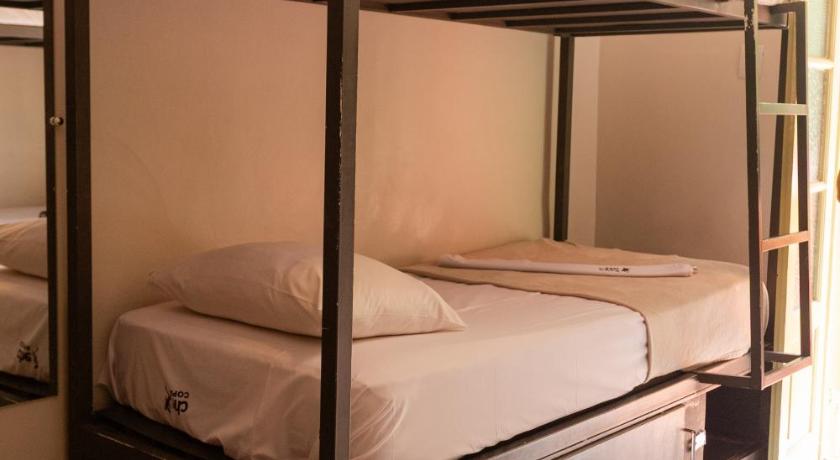 Image of Bunk Bed in Mixed Dormitory Room 0