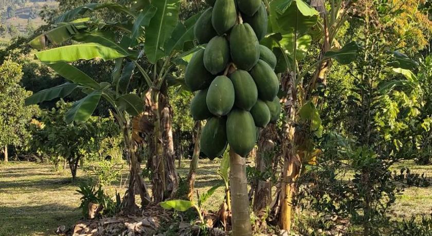 카오코 RATTHANATHON Farm 호텔 객실