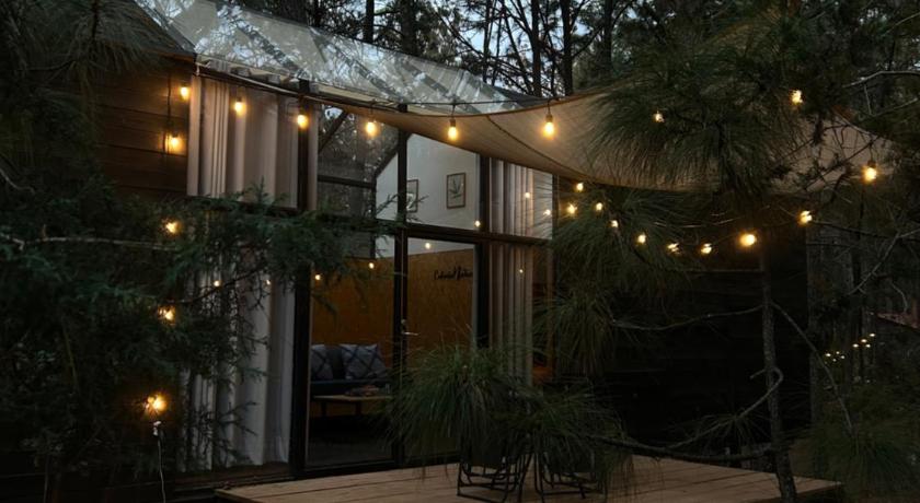BosqueCielo Cabanas Diseno Natural Arte Galeria