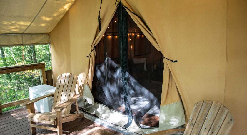 로저스 (KY) The Green Heron's Nest - Family Glamping Tent in Red River Gorge 2성급 숙소 객실