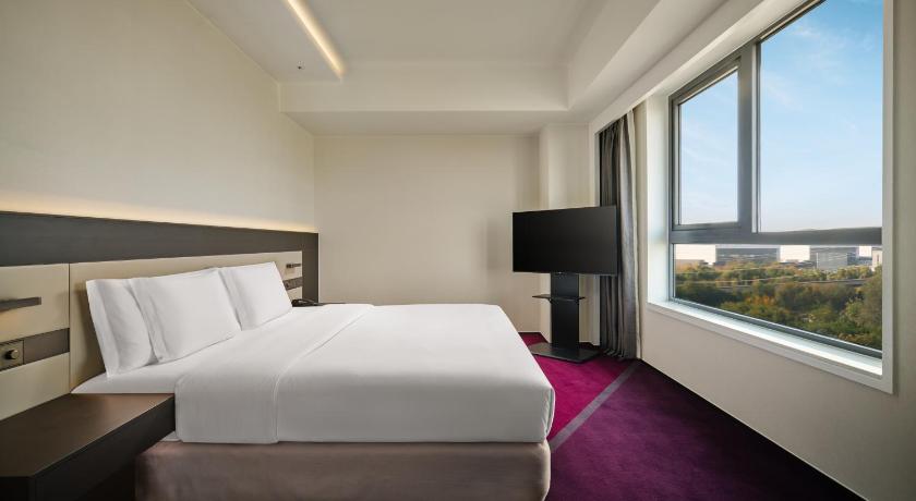 Imagen de Habitación Premium (Premium Room) 8