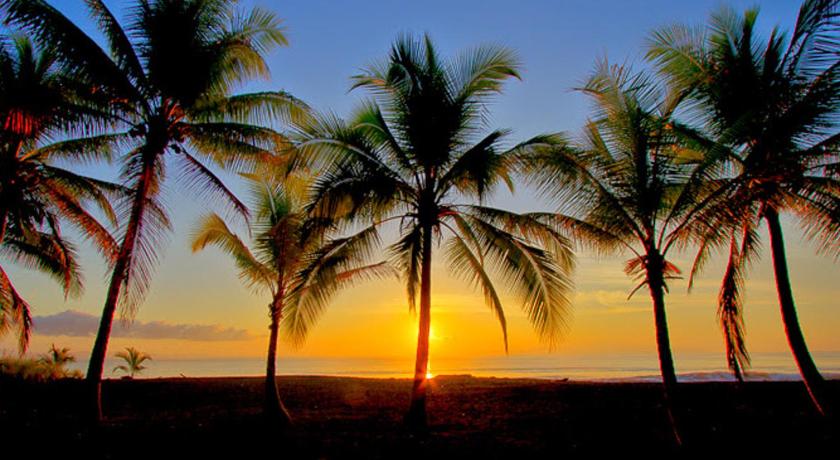 Iguana Lodge Beach Resort and Spa photo