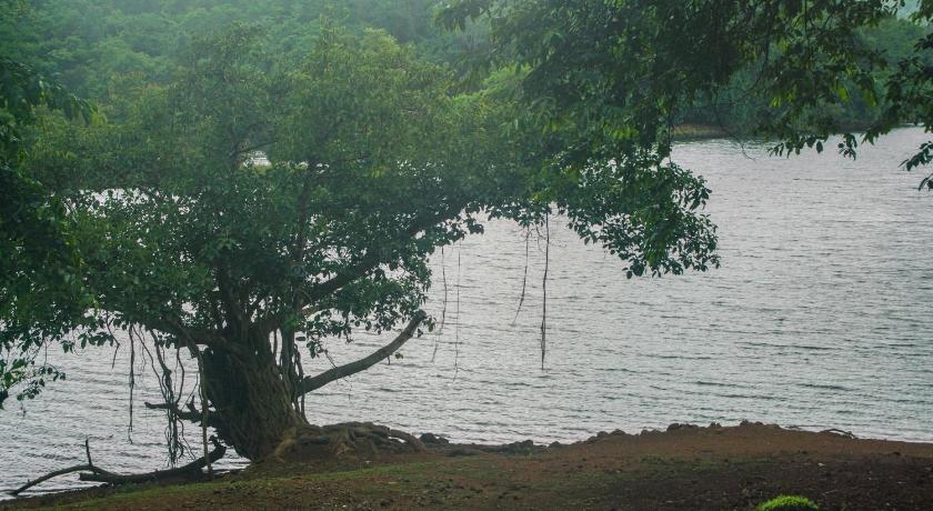 Sterling Nature Trails Kundalika, Kolad