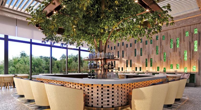 Hilton Istanbul Airport - image 7