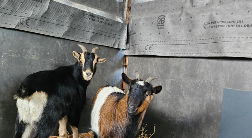 ドンヌマリー＝ドンティイ appartement Plume de repos 4つ星 シングルルーム 施設