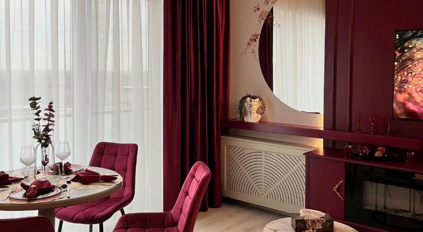 蒂米什瓦拉 Bridge Apartment & Jacuzzi 3星级 酒店 大堂