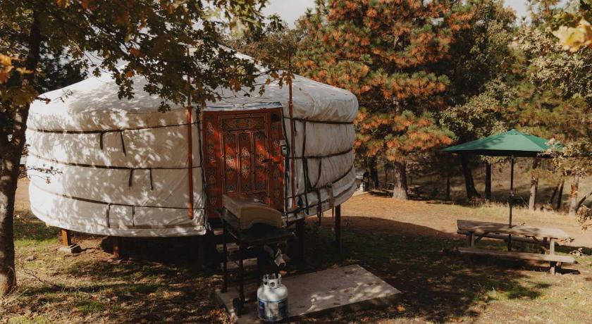 흄 Cosy yurt at a nature retreat in CA 2성급 숙소 객실
