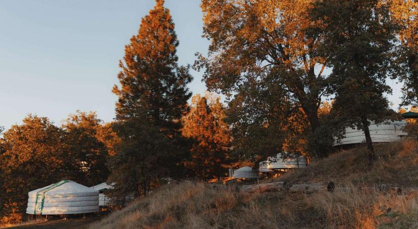 흄 Cosy yurt at a nature retreat in CA 2성급 숙소 수영장
