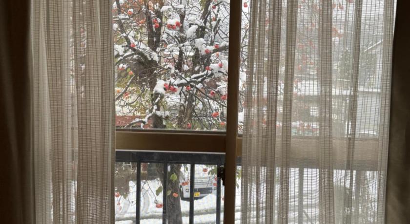 十日町 Min Min Guesthouse みんみん一棟貸しの古民家宿 宿泊施設 客室