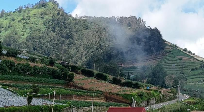 Tampilan Arutala Villa 4-7 Lautan Awan