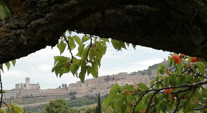 阿西西 Assisi - Appartamento Maristella 3星级 单人房 泳池