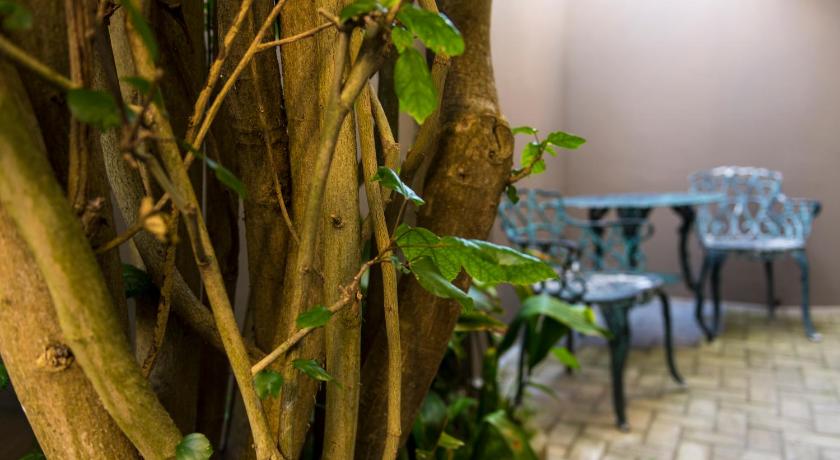 Image of Deluxe Twin Room Type A 13