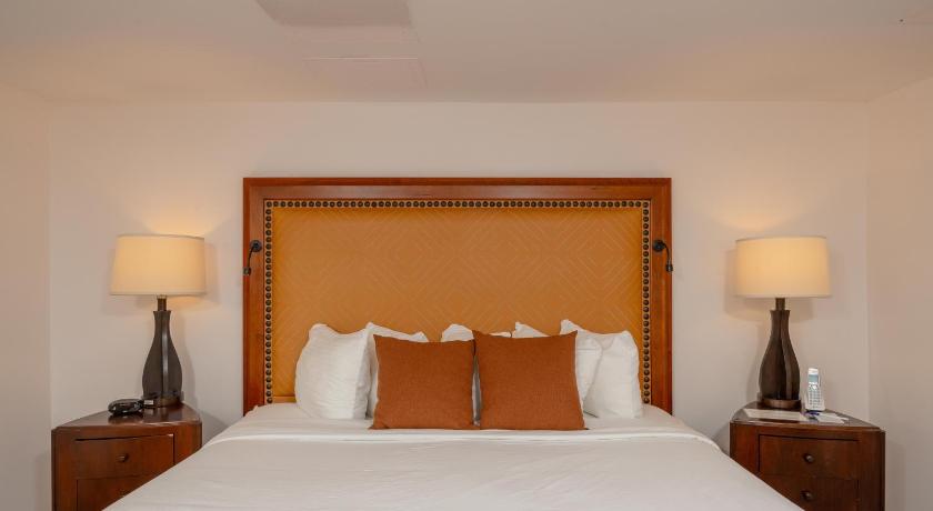 Image of Executive Suite 11