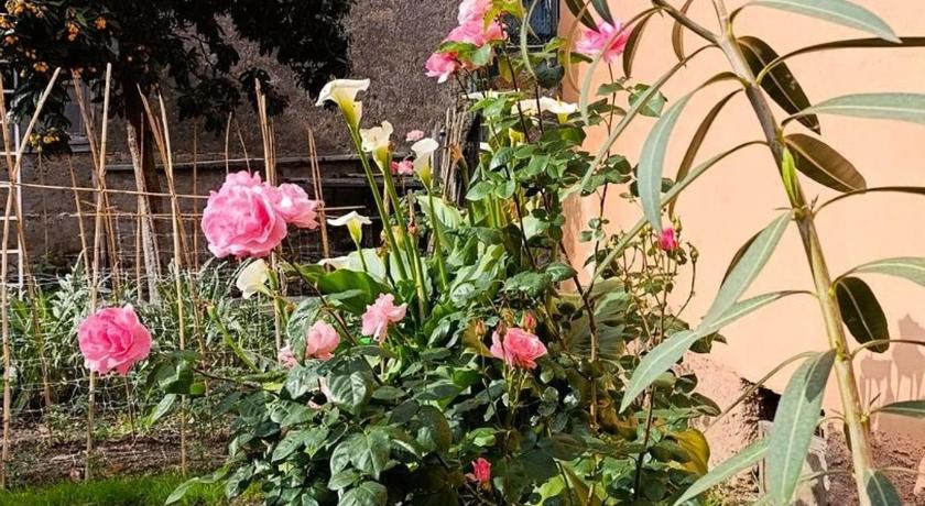 Il giardino di Borgo Nuovo