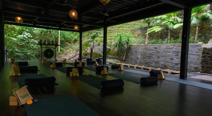 Yara Wellness - image 14