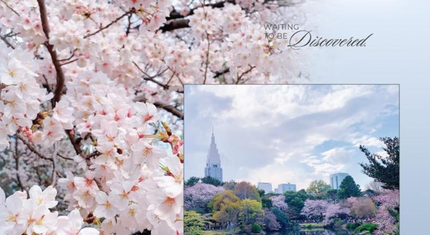 東京 KINSHICHO Tokyo Holiday Hotel 4つ星 ゲストハウス スイート