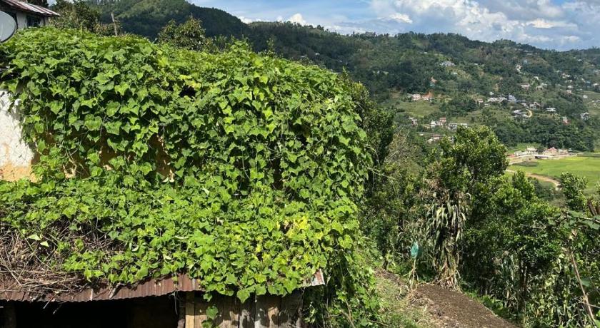 Dasndagaun Community Homesatya — Kathmandu (4)