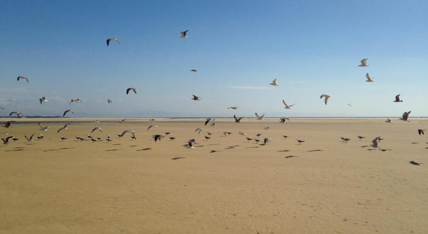 Rural Tarifa Beach photo
