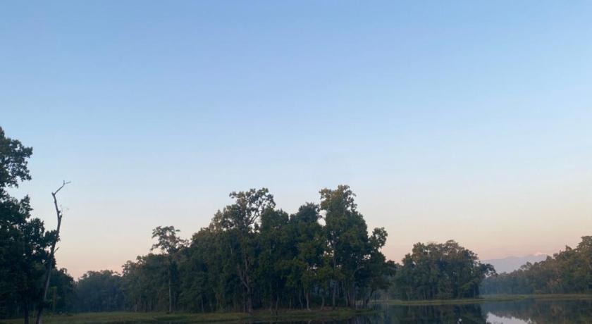 Hostel animal love — Chitwan (5)