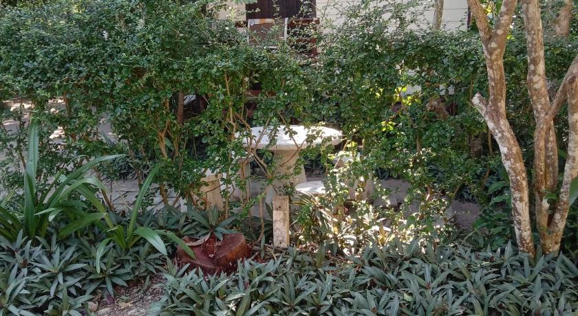 랏차부리 บ้านไอหมอกสวนผึ้ง 4성급 호텔 수영장