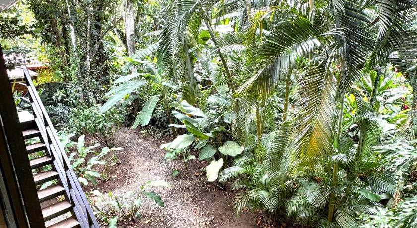 Puerto Viejo de Talamanca El Jardin de Playa Negra 3-Star Guesthouse view