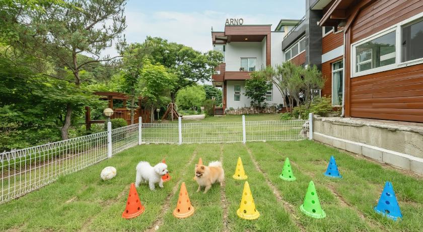 Gapyeong Gapyeong Areuno Pet Pension 4-Star Guesthouse amenity