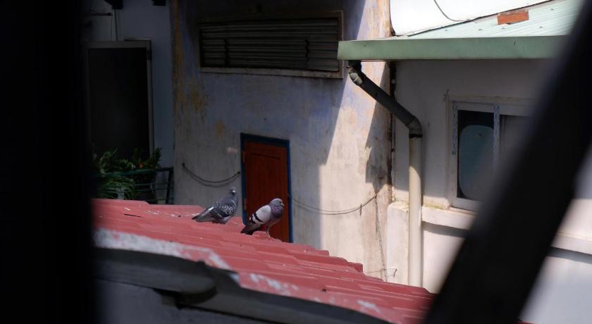 Ho Chi Minh City Saigon Quiet Stay Hotel view