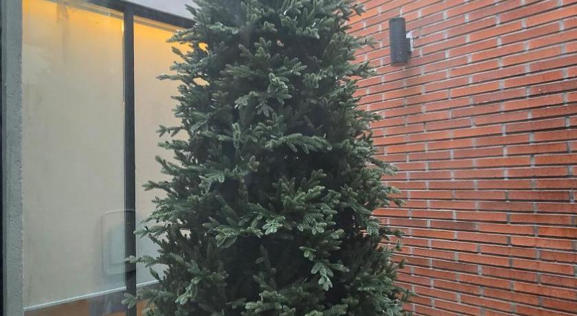 인천 Rare House 숙소 객실