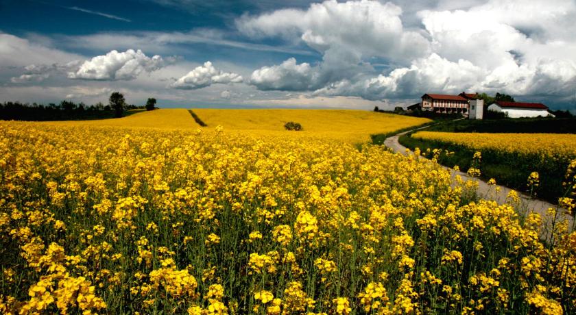 Il Poggio Agrisport
