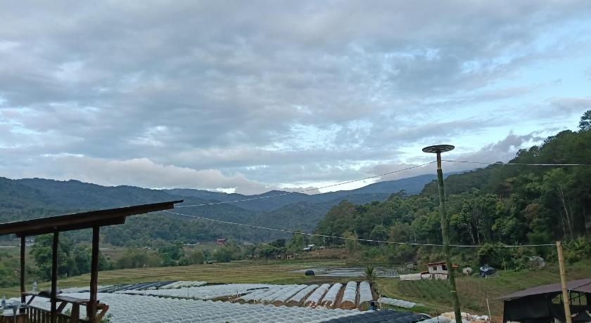 Chanya homestay