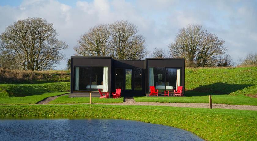 Mad Swans in The Mendips