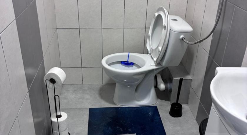 ベオグラード Sobe Potic 3つ星 ゲストハウス 施設