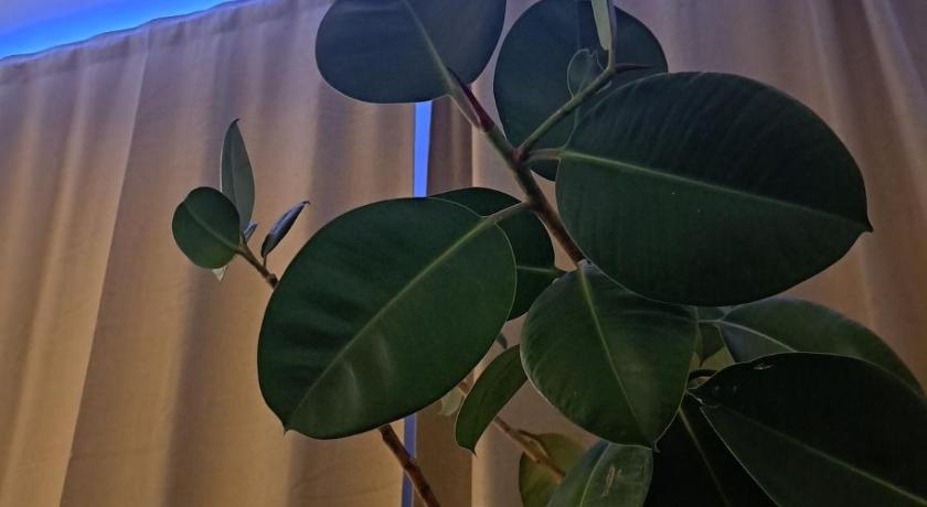 Belgrade Brana 3-Star Single Room view