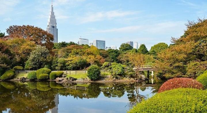 도쿄 / 동경 Pierre-Auguste Renoir Tokyo Shibuya Shinjyuku 7min Free Wifi New Open 3성급 숙소 객실