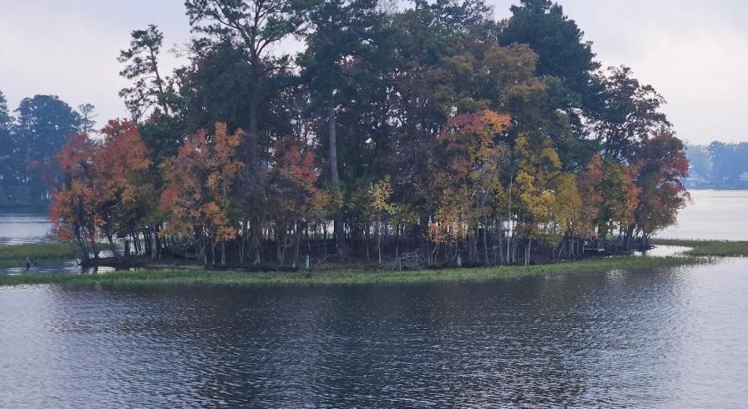 ディッツビル Shad Cove Lake Rentals 宿泊施設 眺望