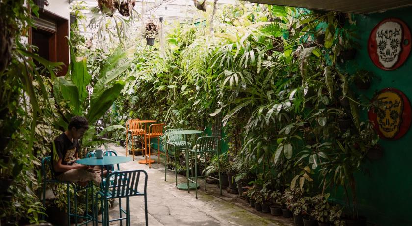 Snooze Hostel Malang - image 7